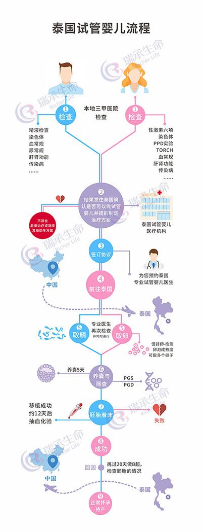 泰国试管婴儿流程图