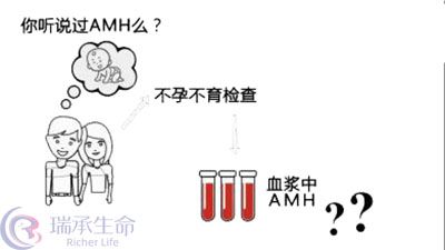 什么是AMH值