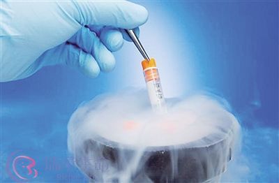 试管婴儿冷冻胚胎