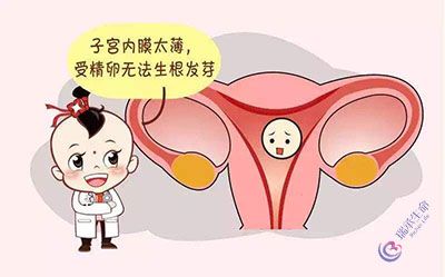 子宫内膜影响试管婴儿