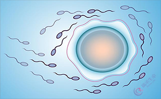 试管婴儿移植后胚胎着床需要几天？