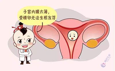 子宫内膜影响试管婴儿