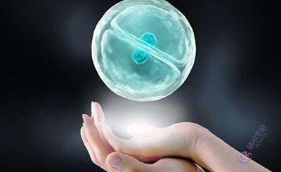 胚胎移植