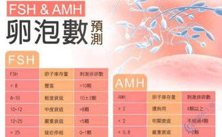 AMH检查的6个步骤及费用是怎样的呢-试管婴儿