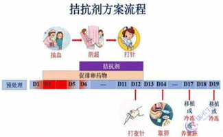 试管婴儿流程-拮抗剂方案