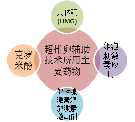 促排卵辅助技术所用的主要药物.png