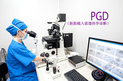 PGD植入前遗传学诊断.jpg