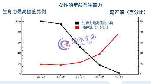 年龄与女性生育力.jpg