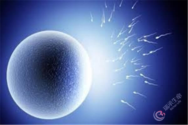 美国试管婴儿专家解答：与促排取卵与移植相关的六个问题