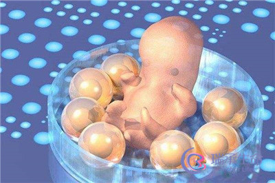 美国试管婴儿生健康宝宝：是从基因开始被严格筛选的优秀宝贝