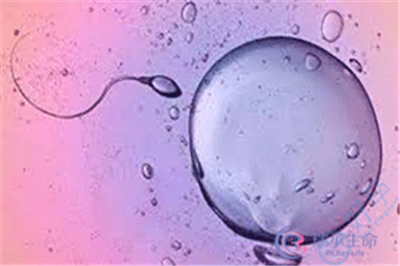 精子和卵子无法结合
