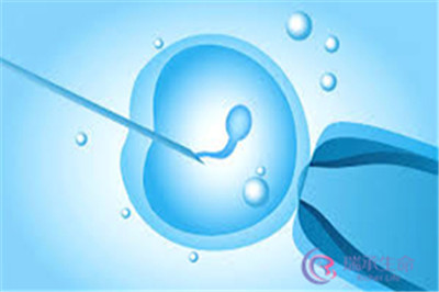 精子洗涤+ICSI技术