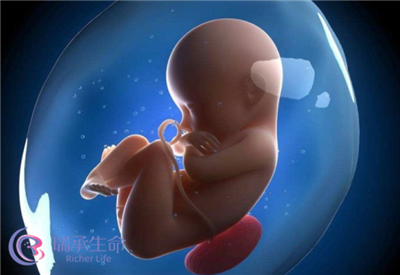 胚胎染色体异常可以做三代试管婴儿吗？