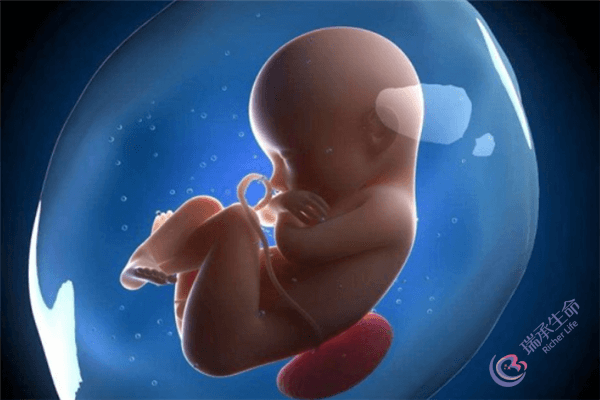 试管婴儿会提前出生？原来是试管宝宝的预产期计算的不同