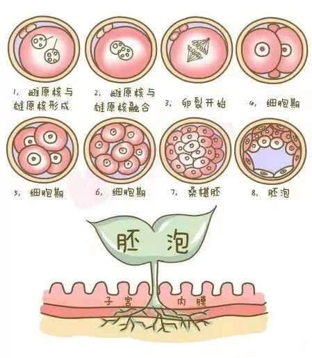 因输卵管问题引起的不孕症，去泰国做试管婴儿可行吗?