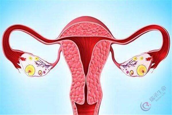 子宫内膜厚度是如何影响妊娠的？