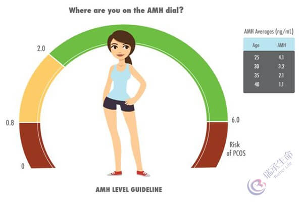 AMH值高低如何影响试管婴儿成功率