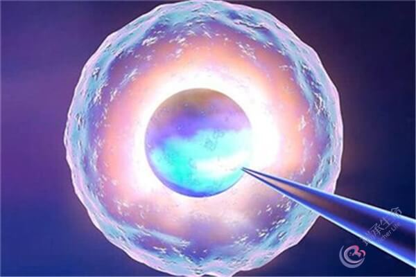 试管促排取卵后卵巢如何恢复如初？