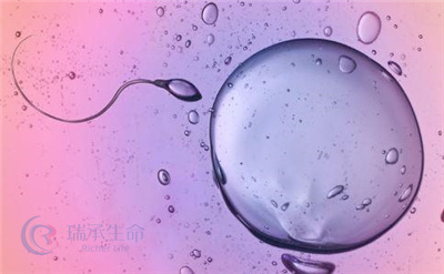 做试管婴儿胚胎移植失败的原因有哪些