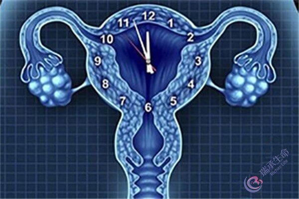 卵巢功能衰退的女性试管，把控四点让好孕触手可及