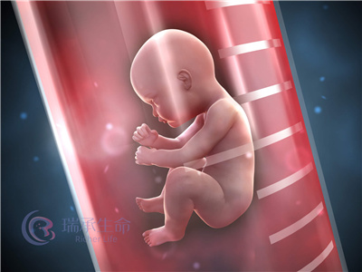 卵巢囊肿可以做泰国试管婴儿吗，做试管有哪些流程
