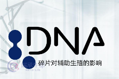 精子碎片率_DNA_男性.png