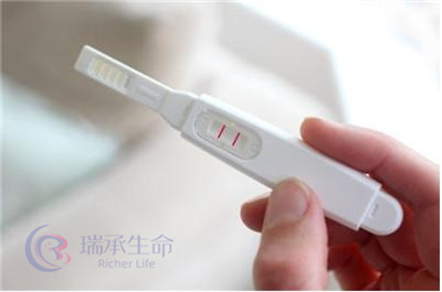 做试管婴儿为什么会失败？你该了解干扰胚胎着床的因素