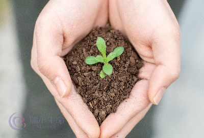 试管婴儿成功率会受到季节因素的影响吗？