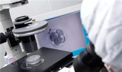 第三代试管婴儿技术：胚胎通过筛查的几率有多少？