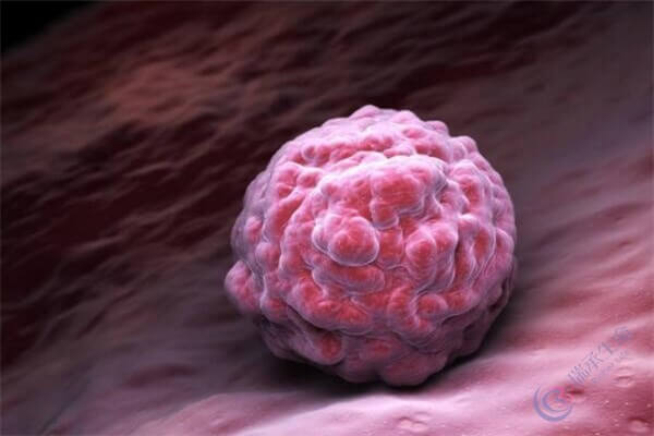 为什么只有40%的胚胎能着床？影响胚胎着床的原因有哪些