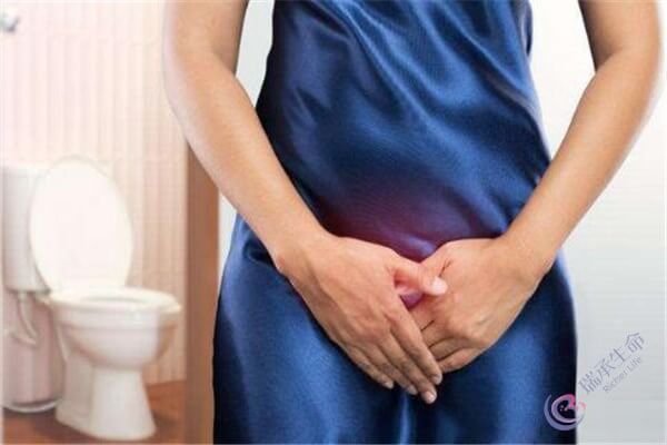 子宫内膜炎影响备孕，应该如何调理？