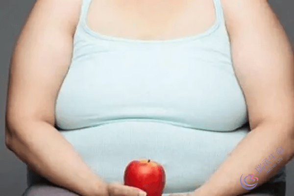 太瘦或太胖都有可能影响试管婴儿成功率！