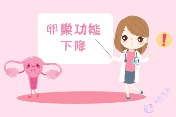 卵巢储备功能低，做试管婴儿能成功吗？