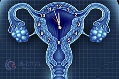 卵巢早衰扼杀了你的生育梦？4个方法让卵巢“活过来”