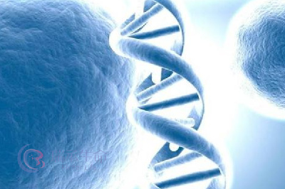 试管婴儿囊胚与早期胚胎相比，谁更具优势？