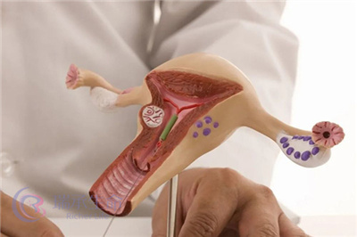 子宫内膜增生会影响试管胚胎的着床吗？