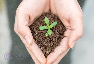 人流导致子宫内膜薄，做试管婴儿如何助孕?