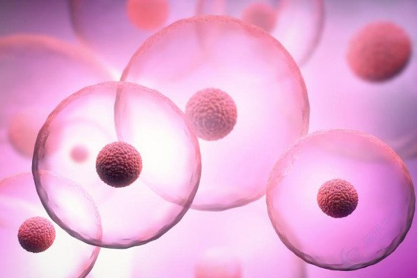 听说多囊卵巢综合征姐妹卵子质量差容易流产？