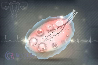 试管婴儿之胚胎移植需“内外兼顾”，你了解吗?