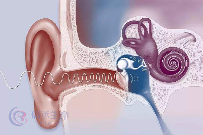泰国试管婴儿技术能避免先天性聋哑疾病的遗传吗？