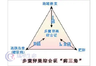 多囊致不孕能去泰国做试管婴儿吗？成功率怎么样？