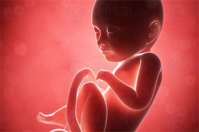 泌乳素过高做试管婴儿能自行怀孕吗？