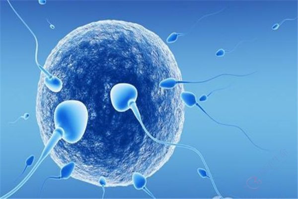 做试管如何提高卵子和精子的受精率？