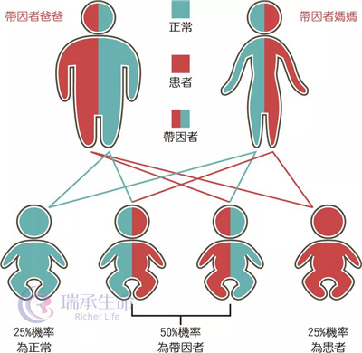 第三代试管婴儿技术是如何杜绝耳聋基因的遗传？