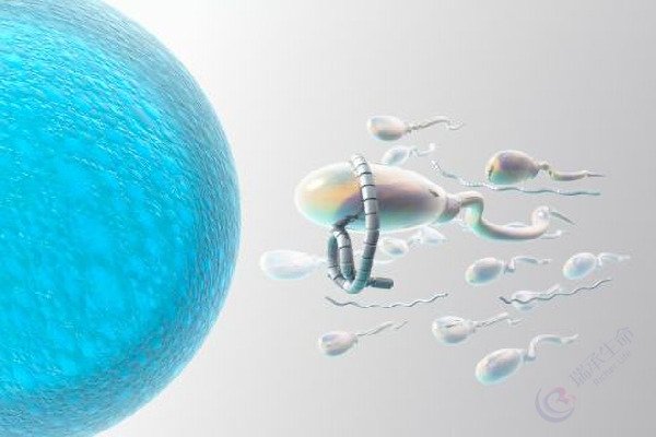 精子畸形率过高适合哪一代试管婴儿技术？