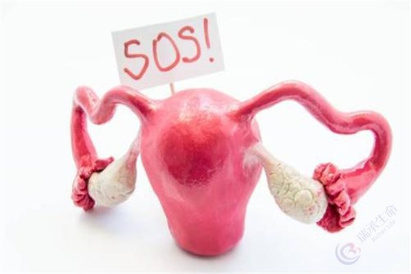 卵巢早衰去泰国做试管婴儿成功率高吗?
