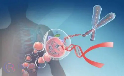 胚胎染色体异常导致流产，试管技术如何解决