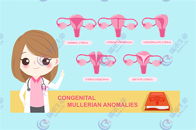 子宫畸形致流产去泰国做试管婴儿能怀孕吗？