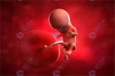 去泰国试管婴儿移植囊胚会有葡萄胎风险吗？