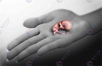 胚胎质量不好是由染色体异常导致的吗？